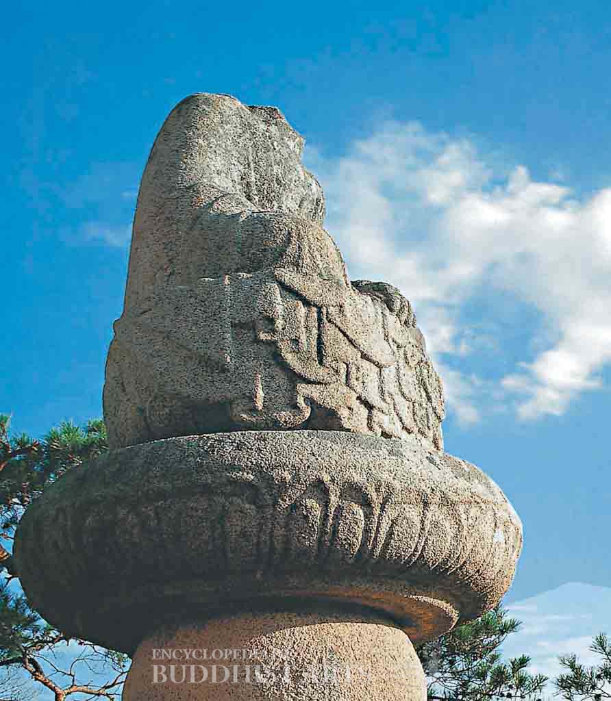 Images